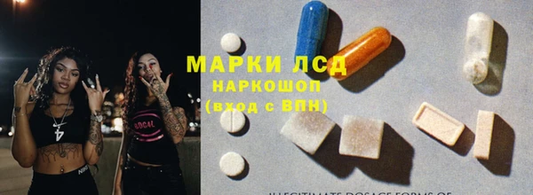 прущие грибы Балабаново