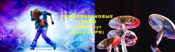 прущие грибы Балабаново