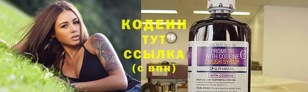 прущие грибы Балабаново